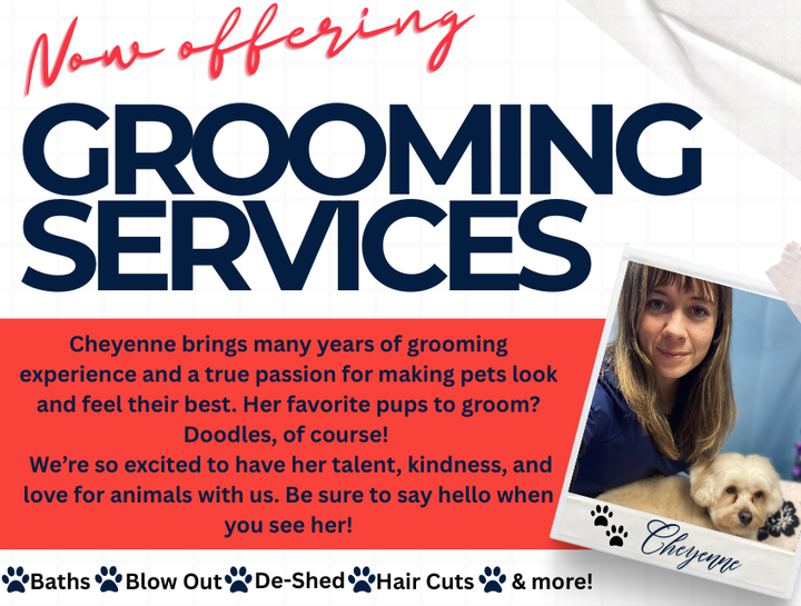 $city Pet Groomers