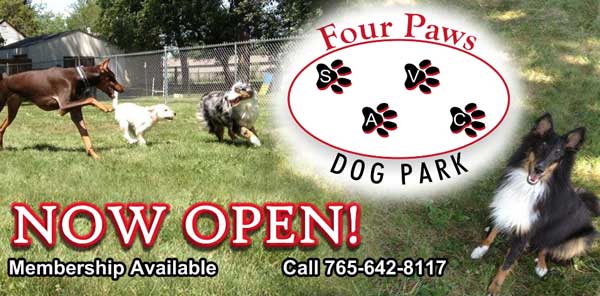 4 Paws Dog Park